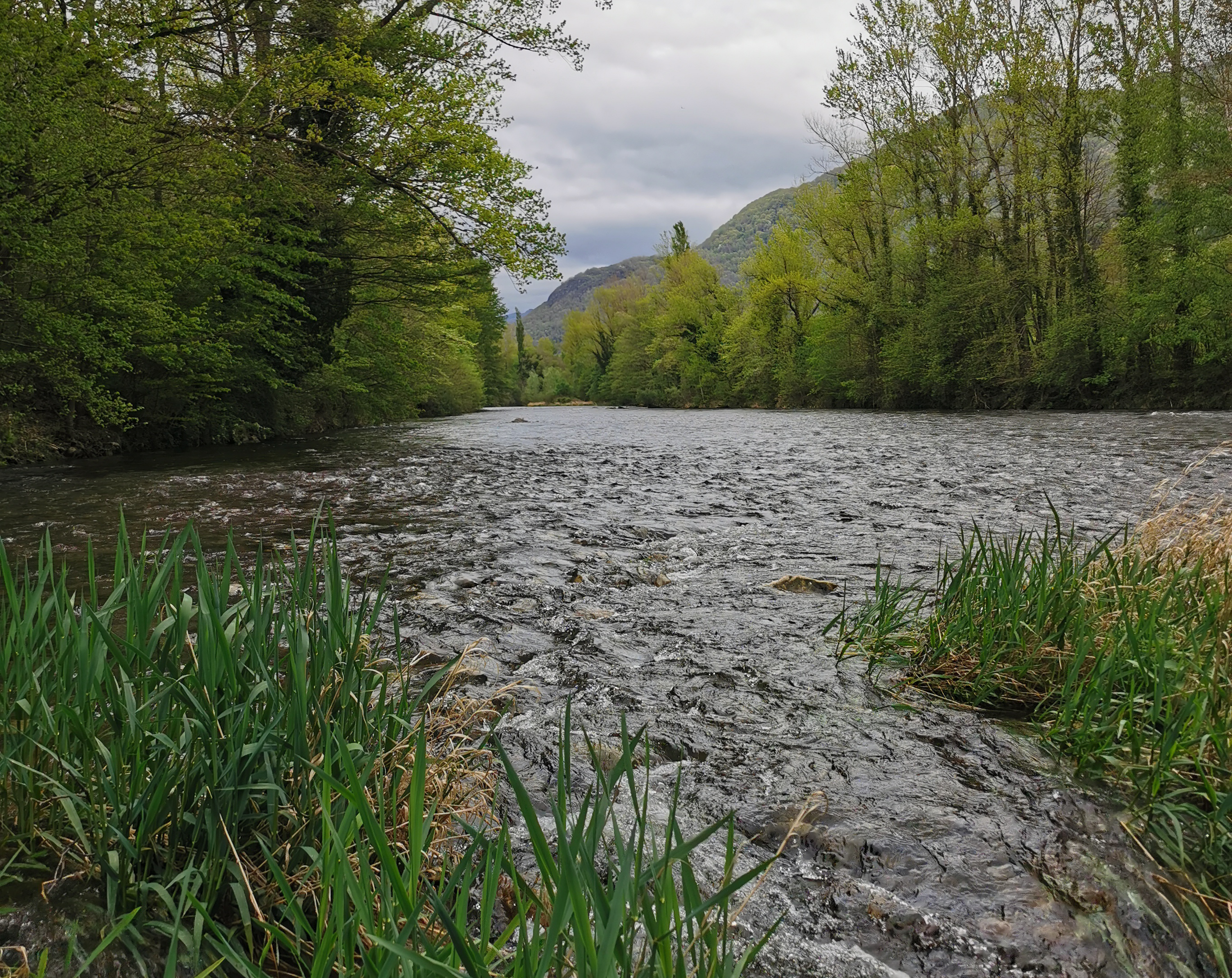 Ariège